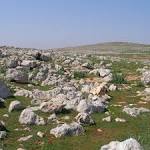  Syria 