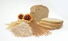 p a l e o b l o c k s: Some Basic Facts on Grains