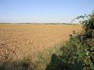 has proved perfect weather - via Daymix