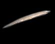Lancelet - Wikipedia, the free encyclopedia