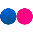  Flickr Icon | Download Favicons icons | Icons Pedia