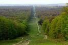Bonjour Paris - Compiegne Day Trip: Royal Chateau, Famous Forest ...