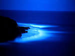 http://funnypicturesimages.com/images/image/blue-sea-at-night-02.jpg