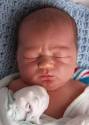 Heley Adam Cook