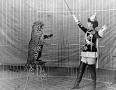Animal training - Wikipedia, the free encyclopedia