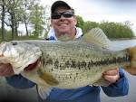 Sure Fire Ways To Turn Basic Bass Fishing Into An Art Mom to Mom