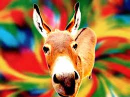 Cor de burro quando foge - Brasil Escola