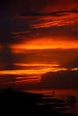 sunset-83-and-sunrise-egrets-