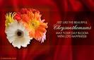 Chrysanthemum Day