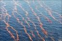  Oil Spill Cleanup   Lessons From the Gulf Oil Spill and 4 Steps For Cleanup & Damage Control