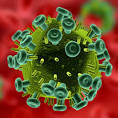 Where did viruses come from?: Scientific American