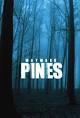 Wayward Pines (TV Mini-Series 2015) - IMDb