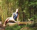 http://www.lifeguides.net/images/how-plant-bamboo.jpg