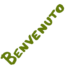 http://t1.gstatic.com/images?q=tbn:ANd9GcQK-PVpooOzphdQ04Zzam7KwWTpkbJhC6jSigytu3teRkXr4ajL