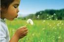  Allergies : Allergy Elimination Technique : Natural Allergy Relief ... 
