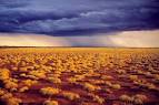 Outback Photographics/Landscapes/Gibson Desert