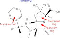 chemprojects@bc - penicillin