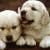 Debi Bobi Baggins | Facebook