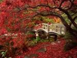 http://thewayofbeauty.org/files/2011/04/japanese_garden_royal_roads_university_british_columbia.jpg