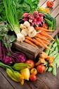 My Organic Food Garden