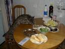 russian pets
