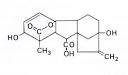 Glossary of Plant Biology