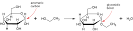 Glycosidic bond - Wikipedia, the free encyclopedia