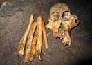 Rare panda skull found in Chongqing   Peoples Daily Online