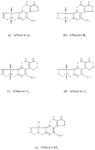 aflatoxin
