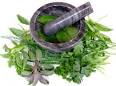 Natural Antibiotics: Foods that Work as Antibiotics · Healthy ...