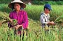 Lesson Plans on Development Globalization101
