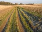 The low winter sun barely melted the frost. - via Daymix