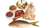 <b>Protein</b> is very important to