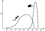 File:Homeothermy-poikilothermy.png - Wikipedia, the free encyclopedia