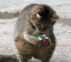 Le Rubik's Cube ! - Page 3 Images?q=tbn:ANd9GcQMwDD5g-WDtmE89XCCu3zgUT5_N5pfjCoB0-2v1MuQgxYiNoJgzBZjzQeW