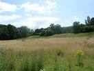 No Play Today! - Former Cricket Pitch - Pool Road - via Daymix