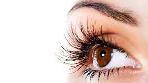 Image result for food fruits and vegetables for better eyesight