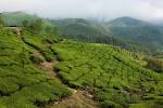 20080104-Kerala-Eravikulam - via Daymix