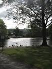 Canada geese in, and around, Hillsborough Park lake early on a summers - via Daymix
