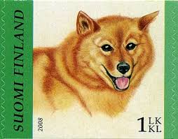 Kuva