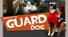 http://www.blogcdn.com/www.joystiq.com/media/2009/09/gam_tf2guarddog_580.jpg