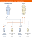 Fabrazyme Ž | Overview of Genetics and Inheritance in Fabry Disease