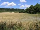 TQ2252 : Rural Land near - via Daymix