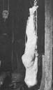 ed gein | Tumblr