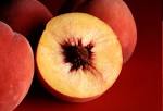 Peaches Image File:Autumn Red peaches.jpg   Wikipedia, the free encyclopedia Picture 6