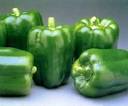 Capsicum | Publik Foods