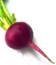 Beet It | Third City
