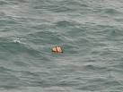 AirAsia flight QZ8501 debris found, bodies recovered
