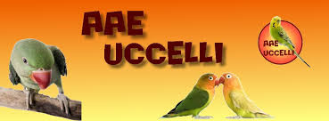 AAE Uccelli