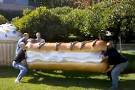 Giant Android eclair delivered to Google in New Phones category